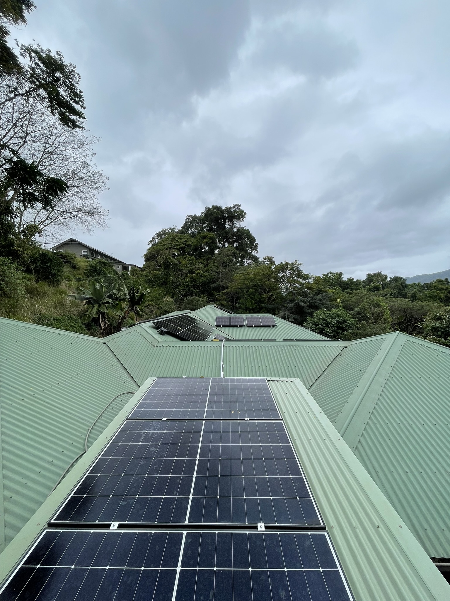 Roof after professional cleaning